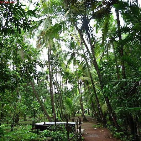 Saaj Resort Dapoli Bagian luar foto